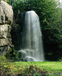 Kilfane Glen & Waterfall - YourDaysOut
