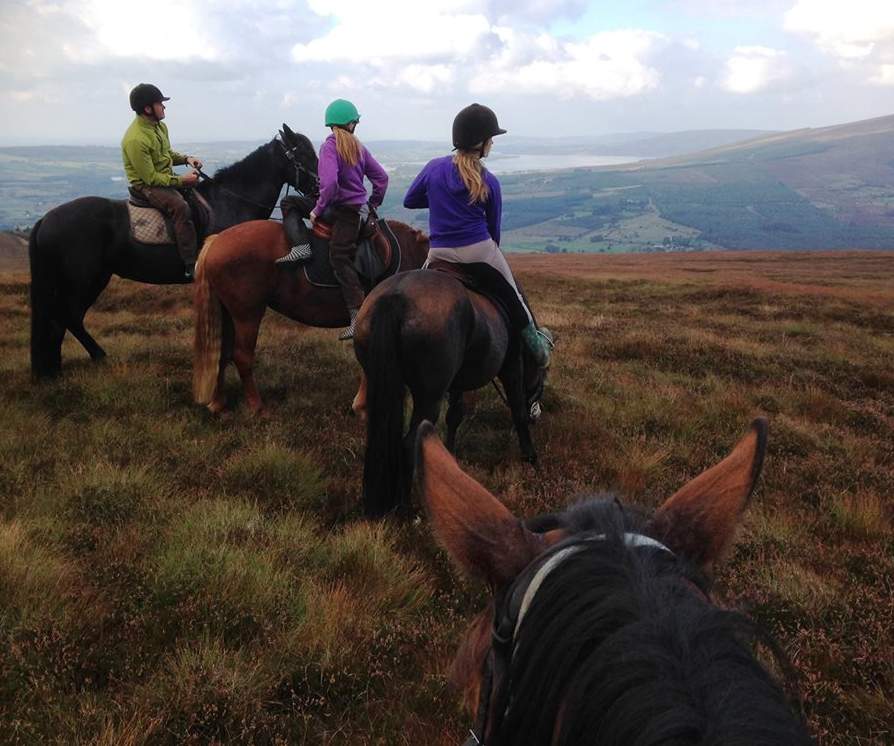 Hollywood Horse and Pony Trekking - YourDaysOut
