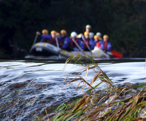 Rafting.ie - YourDaysOut