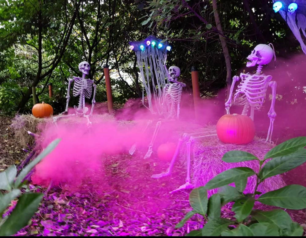 Clonfert Pet Farm | Halloween Evens in Ireland | YourDaysOut