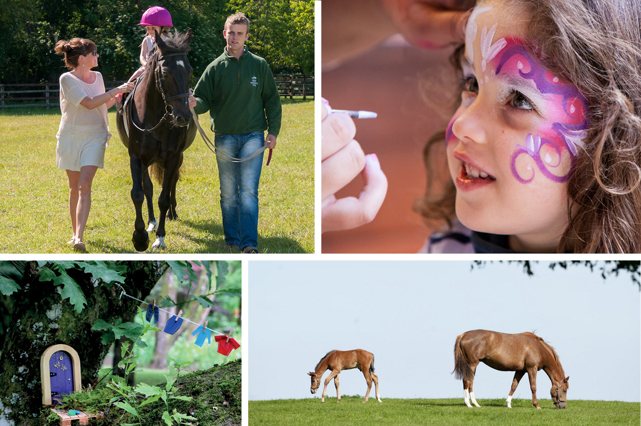 Irish National Stud | Halloween Events in Ireland | YourDaysOut