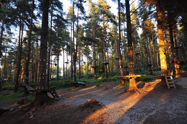 Zipit Forest Adventure | Things to do in Dublin | YourDaysOut