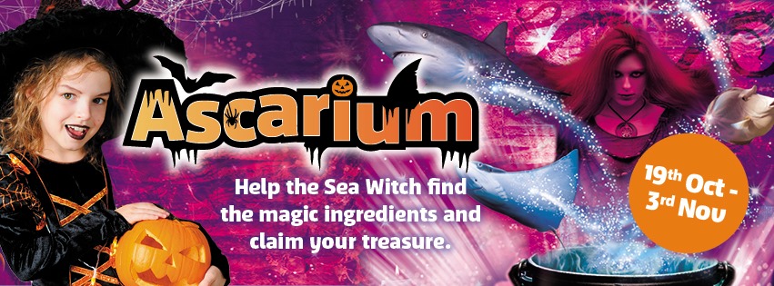 SEA LIFE, Bray | Halloween Events in Ireland | YourDaysOut