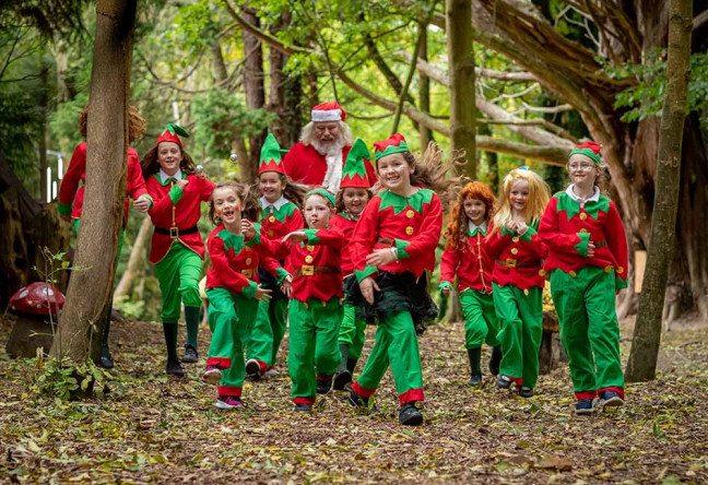 Woodland Santa | Castlecomer Discovery Park | YourDaysOut