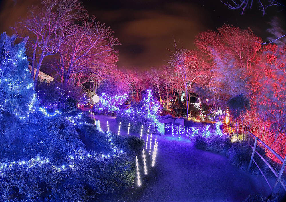 Lafcadio Hearn Japanese Gardens | Enchanted Winter Lights Festival | YourDaysOut