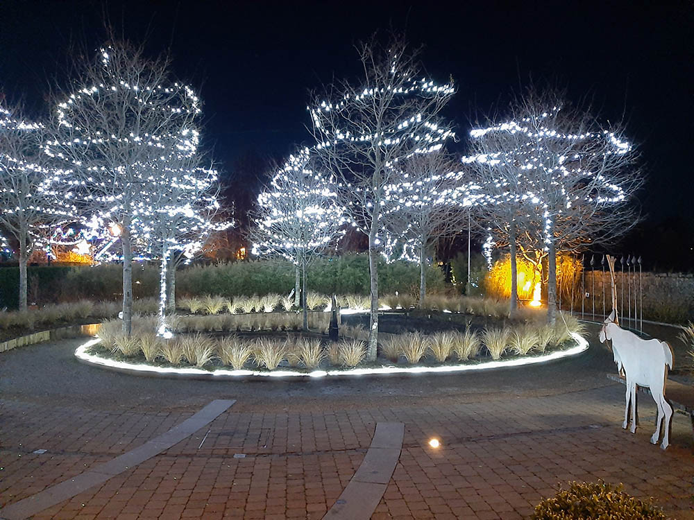 Delta Sensory Gardens | Christmas Lights | YourDaysOut