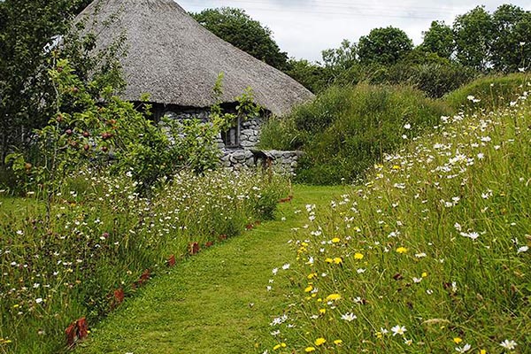 Brigit's Garden | Things to do in Galway | YourDaysOut