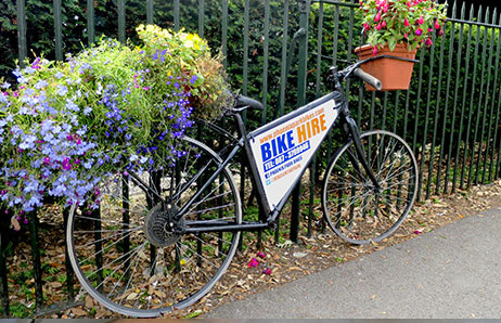 Phoenix Park Bikes - YourDaysOut