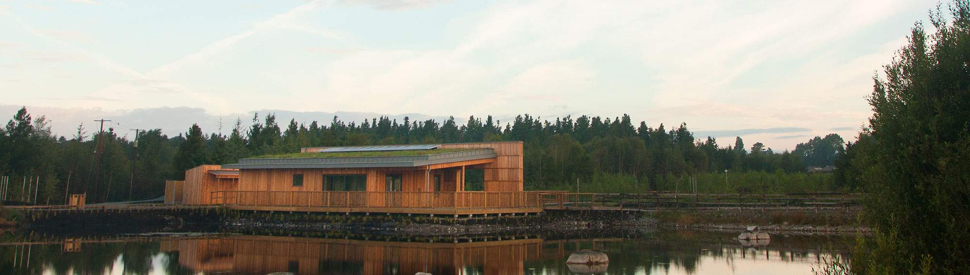 Lough Boora - YourDaysOut