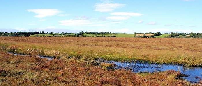 Clara Bog Nature Reserve - YourDaysOut