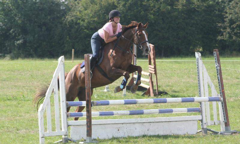 Annaharvey Farm - YourDaysOut