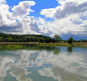 Laois Angling Centre - YourDaysOut