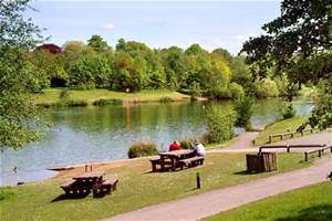 Chorlton Water Park - YourDaysOut