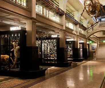 Manchester Museum - YourDaysOut