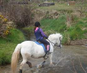 Things to do in County Wexford, Ireland - Lookout Equestrian - YourDaysOut