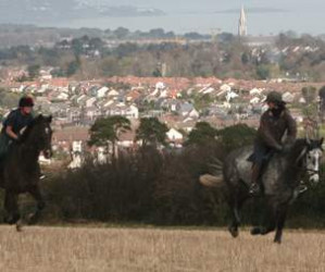 Things to do in County Wicklow, Ireland - Brennanstown Riding School - YourDaysOut