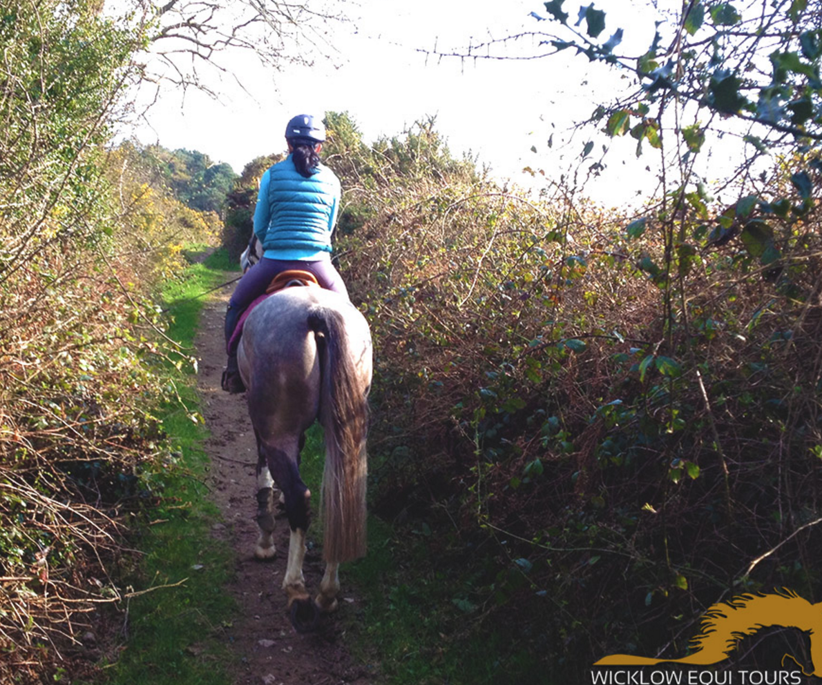 Wicklow Equi Tours - YourDaysOut