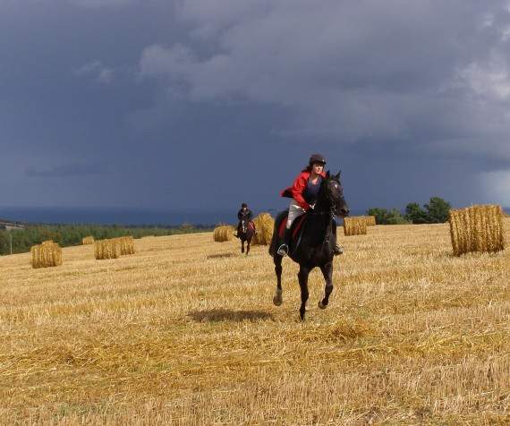 Bel-Air Hotel & Equestrian Centre - YourDaysOut