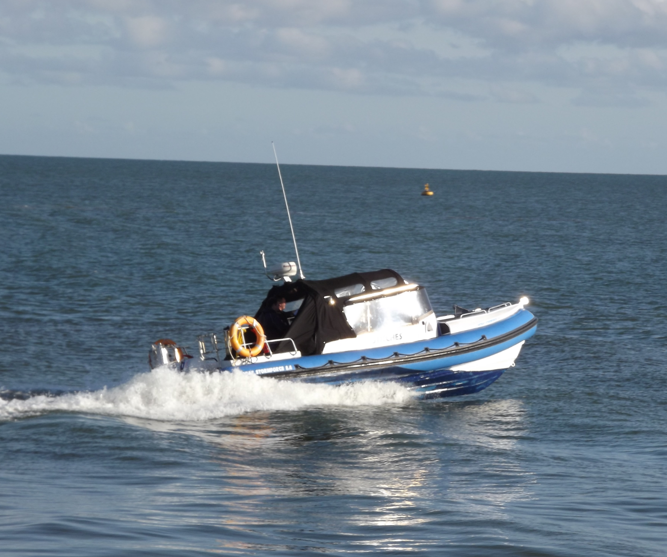 Courtown Sea Safari - YourDaysOut