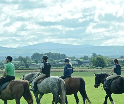 Abbeyfield Farm - YourDaysOut