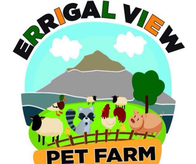 Things to do in County Donegal, Ireland - Errigal View Pet Farm - YourDaysOut - Photo 2