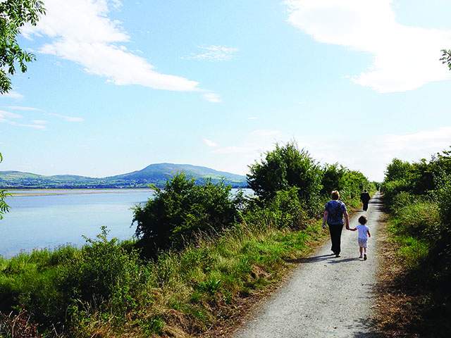 Things to do in County Donegal, Ireland - Inch Wildfowl Reserve - YourDaysOut