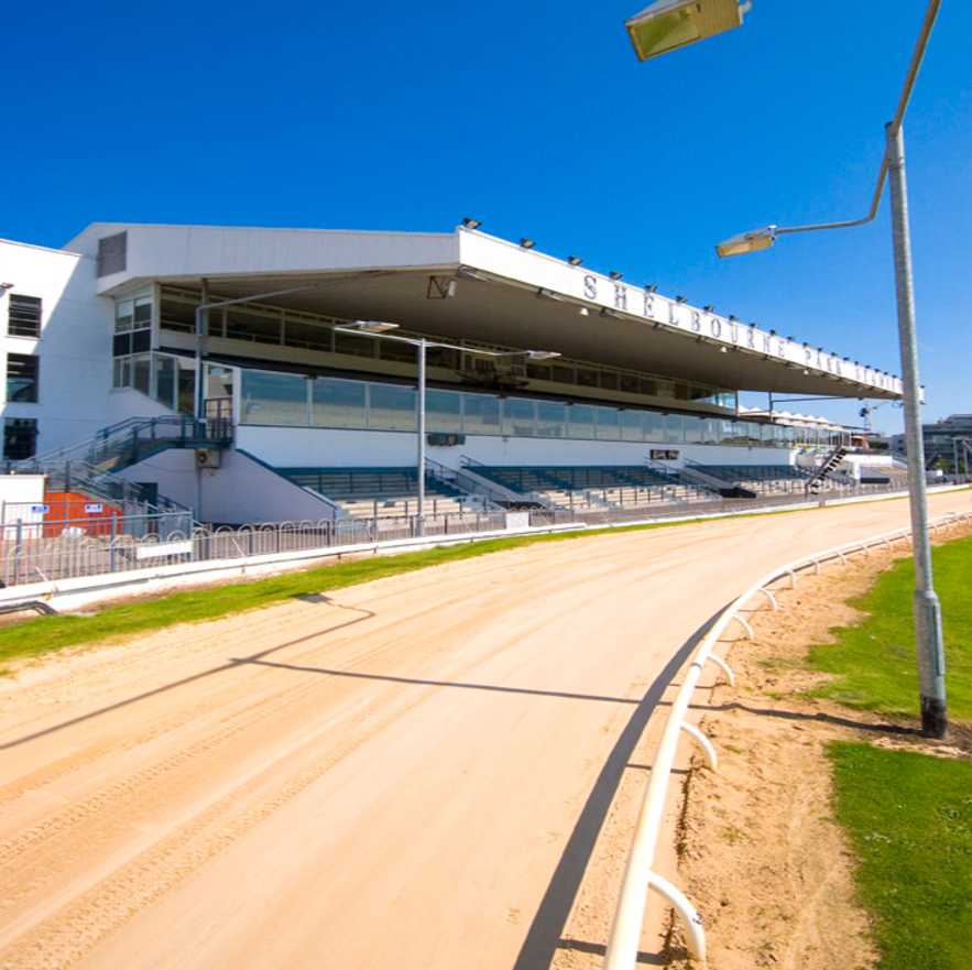 Shelbourne Park Greyhound Stadium - YourDaysOut