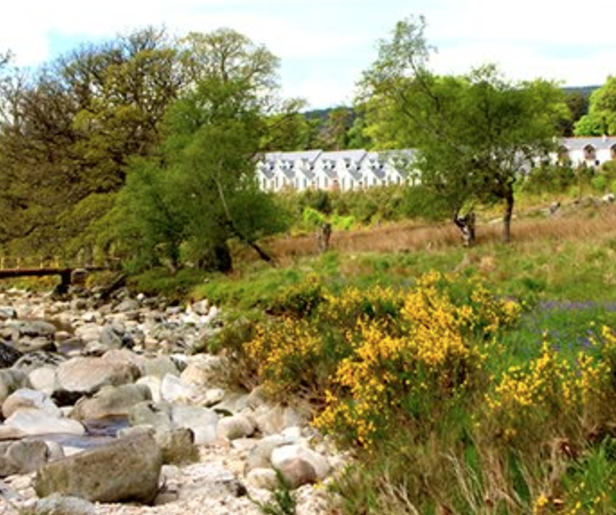 Kippure Estate - YourDaysOut