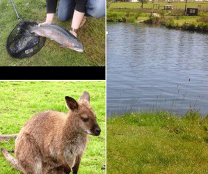 Things to do in Northern Ireland Dungannon, United Kingdom - Annaginny Fishery and Park Farm - YourDaysOut