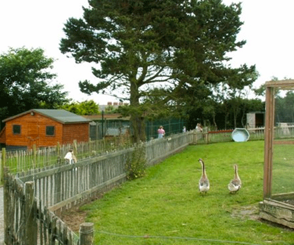 Ballywhiskin Caravan Park & Open Farm - YourDaysOut