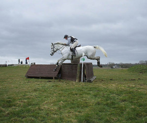 Things to do in County Carlow, Ireland - Carrigbeg Riding Stables - YourDaysOut