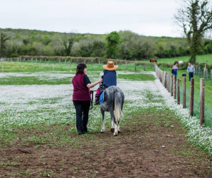 Things to do in County Clare, Ireland - The Farmyard - YourDaysOut