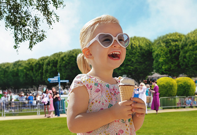 Things to do in County Dublin, Ireland - Dublin Horse Show - YourDaysOut