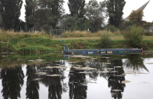 Things to do in County Laois, Ireland - Athy & District Anglers Club - YourDaysOut