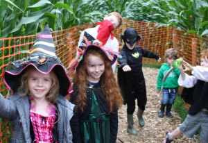 Things to do in County Meath, Ireland - Pooka Spooka - YourDaysOut