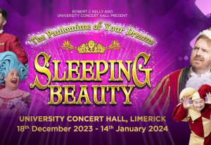 Things to do in County Limerick, Ireland - Limerick Panto | University Concert Hall - YourDaysOut