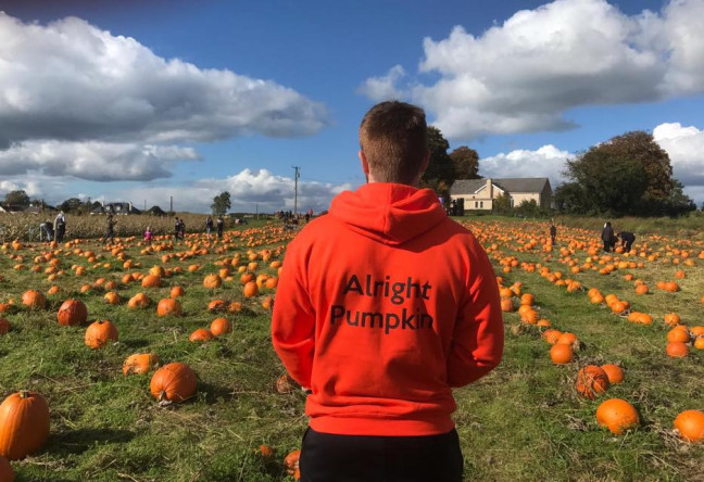 The Alright Pumpkin Patch | Events in Meath | YourDaysOut