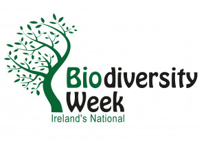 Things to do in County Kildare, Ireland - Biodiversity Week - YourDaysOut