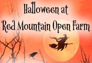 Things to do in County Meath Drogheda, Ireland - Halloween @ Red Mountain Open Farm - YourDaysOut