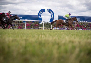 Things to do in County Kildare, Ireland - Naas Racecourse - YourDaysOut