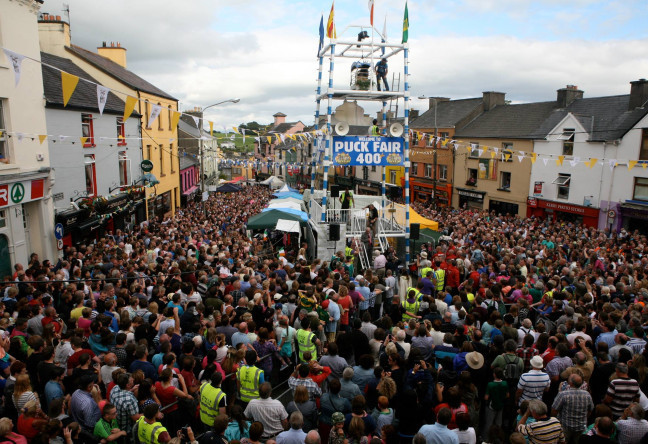Puck Fair - YourDaysOut