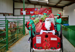 Things to do in County Clare, Ireland - Christmas at the Farm | Moher Hill Open Farm - YourDaysOut
