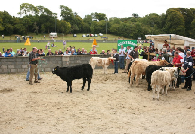 Oughterard Show - YourDaysOut