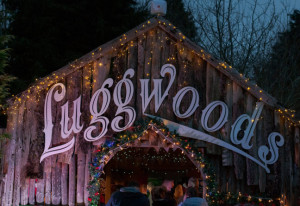 Things to do in County Dublin, Ireland - Santa's Enchanted Forest Christmas Experience at Luggwoods - YourDaysOut