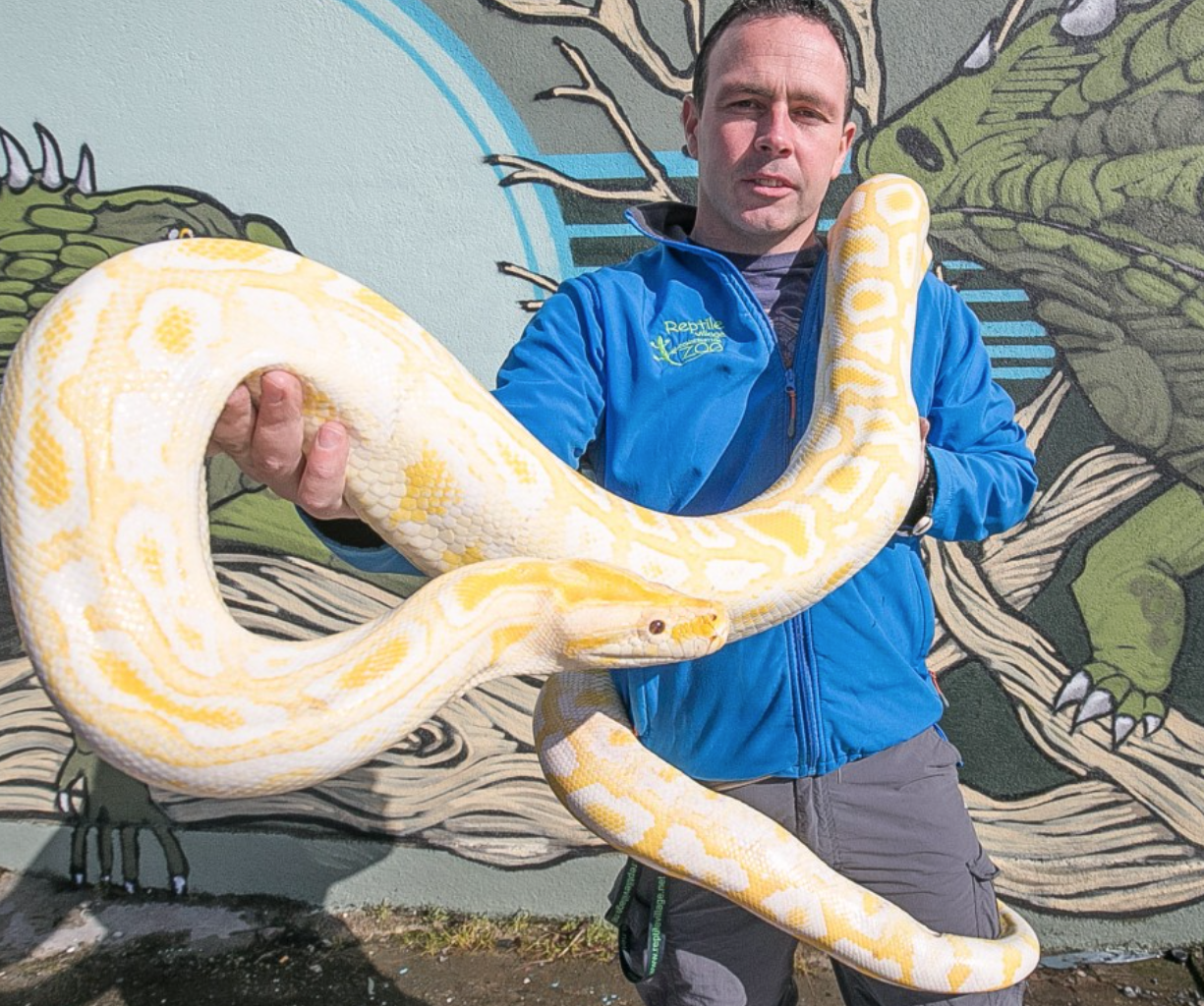 National Reptile Zoo - YourDaysOut