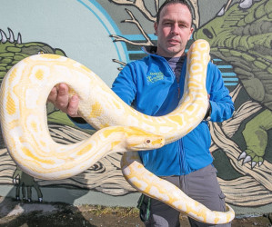 Things to do in County Kilkenny, Ireland - National Reptile Zoo - YourDaysOut