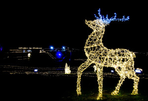 Over 100 Christmas events and Santa visit ideas in Ireland in 2025 - YourDaysOut