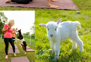 Things to do in ,  - Things to do this weekend in Ireland | May 2nd - 5th, 2025 - YourDaysOut