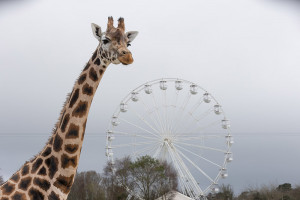 Things to do in ,  - Things to do in Ireland this summer | 2025 - YourDaysOut