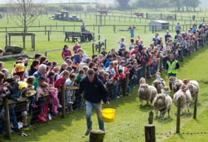 Newgrange Farm offers a fun, hands-on experience for ages - YourDaysOut